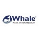 Whale Pipe & Pipe fittings